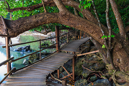 泰国丛林中靠近海边的木制小路图片