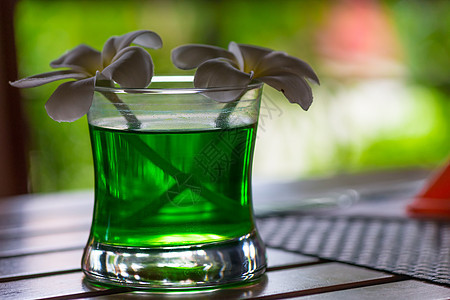 美丽的freangipani花朵在一个玻璃杯中 绿色水在密核上图片