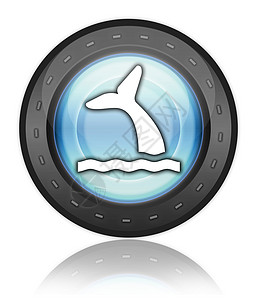 图标 按钮 象形鲸生活栖息地鲸类游览海上生活文字海洋游客指示牌手表图片