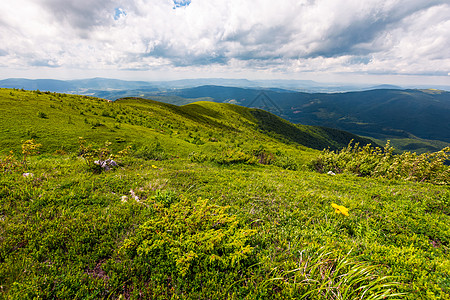 夏季喀尔巴阡山丘天堂海拔小丘风景环境地面丘陵山脊资源编队图片