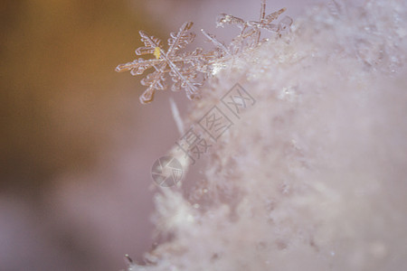 雪花宏照片蓝色天气白色宏观星星六边形薄片水晶季节性装饰品图片