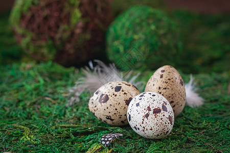 在绿色背景上孤立的Quail鸡蛋 复活节明信片的概念庆典蛋壳鹌鹑生活羽毛早餐团体母鸡家禽农场图片