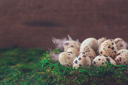鸟巢里的小鸡蛋在绿色背景上被隔离 复活节明信片的概念羽毛美食母鸡饮食生活家禽明信片蛋壳鹌鹑早餐图片
