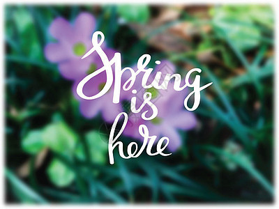 明亮的春天背景和 你好春季短信图片