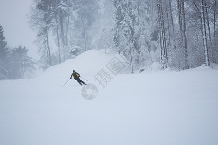 滑雪车在脚上下坡男人冻结季节高山森林运动胡子速度乐趣滑雪者图片