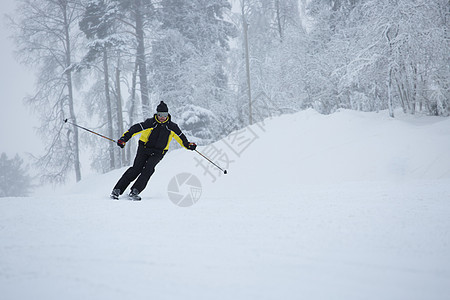 滑雪车在脚上下坡季节男人冻结高山乐趣滑雪者娱乐森林蓝色速度图片