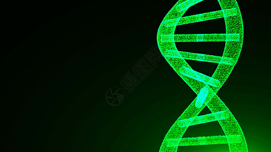 抽象的 dna 粒子 数字插图背景模块细胞建筑运动生物学动画片代码化学药品生活图片