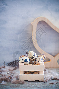 鹌鹑蛋在木盒子里 乡村背景上有羽毛 复活节春天明信片概念生产团体动物母鸡饮食市场脆弱性食物烹饪早餐图片