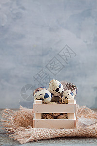 鹌鹑蛋在木盒子里 乡村背景上有羽毛 复活节春天明信片概念饮食鹌鹑生产产品团体动物脆弱性烹饪早餐市场图片