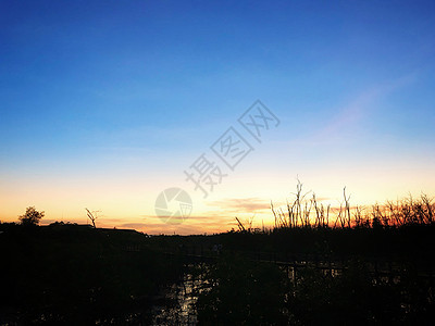 Beautiul 日落和剪影红树林环境太阳公园植物海滩旅行天空森林反射生活图片