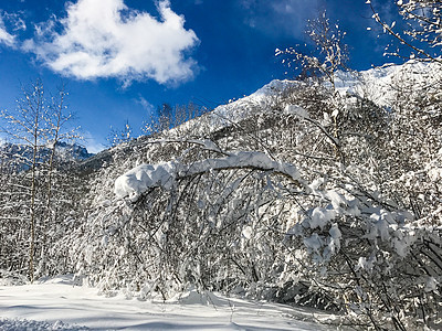 冬季阿尔卑斯山建筑房子树木娱乐晴天小屋高度蓝色雪堆盎司图片