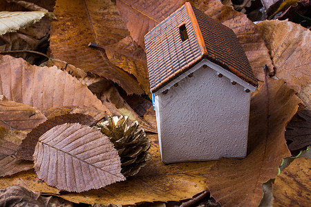 小模特儿家在秋叶树叶上房子公寓财产邻里植物树叶抵押季节建筑学住宅背景图片