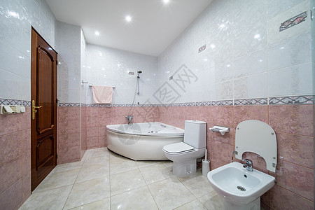 小型米油洗手间公寓房子龙头奢华建筑学浴缸淋浴房财产建筑淋浴背景图片