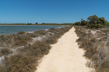 西澳大利亚Nambung国家公园风景生物旅行踪迹环境旅游城市天气蓝天栖息地背景