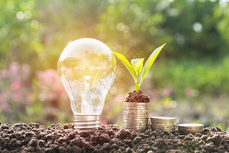 节省能源的灯泡和在硬币堆上生长的树木植物金融商业银行业财富技术货币银行力量玻璃图片