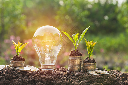 节省能源的灯泡和在硬币堆上生长的树木经济库存力量投资创造力植物活力商业玻璃货币图片