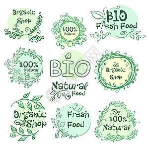 一套徽标类型元素 手工绘制的生物 有机 天然食物 设计图片