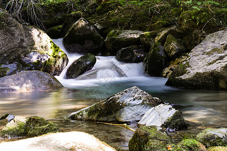 软水河苔藓石头森林岩石叶子风景木头植物温泉环境图片