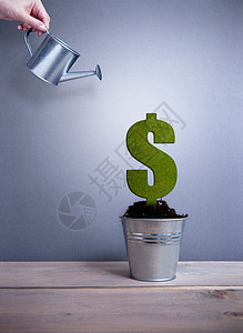 绿色美元标志厂商业植物货币投资环境经济水罐新生意金融生长图片