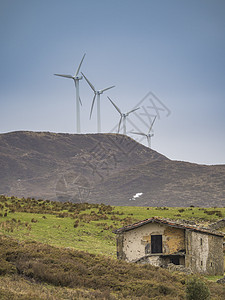 有雾的风风涡轮机环境绿色安装全景地平线工业白色天空天气力量图片