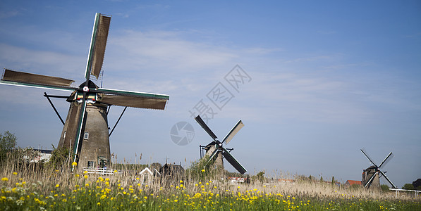 黄色风车老风车 内地的Kinderdijk场景乡村技术环境牧场天空植物风景建筑学农村背景