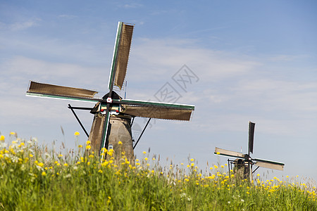 黄色风车老风车 内地的Kinderdijk农场遗产天空场景植物技术生态乡村风景场地背景