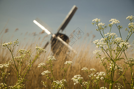 荷兰在Kinderdijk的风车环境生态场地技术农村文化遗产乡村蓝色建筑学图片