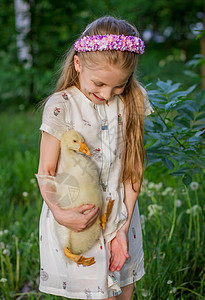 女孩和鸭子玩得开心图片