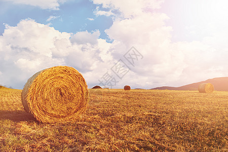 收获后田地里的干草捆 晴朗的一天 蓝天 白云 太阳 太阳阴霾 眩光图片