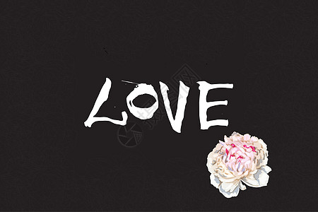 情人节设计海报贺卡相册横幅的手写字母 LOVE 和美丽的牡丹花 书法插图集图片