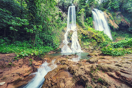 热带雨林丛林瀑布图片
