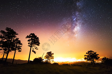 星星般的天空 挤奶的方式 长期暴露的照片 夜色风景黑暗云杉天文学星系松树箭矢夜景顶峰蓝色星群图片