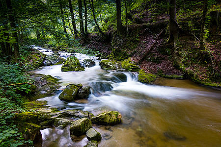 山区河流  流经斯洛文尼亚茂密的绿色森林的溪流荒野峡谷小路旅游远足旅行石头瀑布环境山沟图片