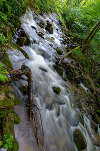 山区河流  流经斯洛文尼亚茂密的绿色森林的溪流环境峡谷小路远足石头旅行山沟瀑布旅游荒野图片