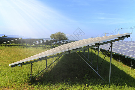 太阳能发电站绿色田地太阳能电池板晴天生态天空太阳活力创新集电极阳光技术控制板图片