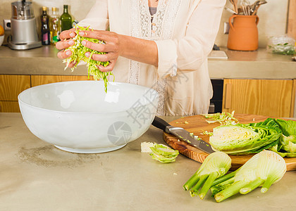 菜菜木和酸白菜蔬菜食物营养沙拉厨房饮食香肠茴香发酵女士图片