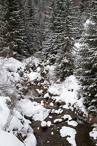冬季阿尔卑斯山季节村庄晴天小屋木头树木松树娱乐小木屋房子图片