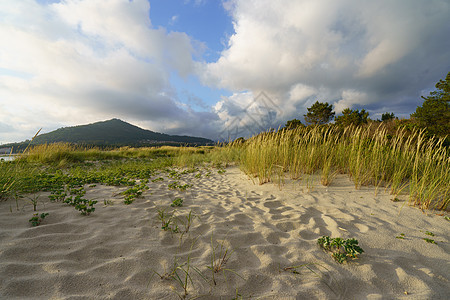 葡萄牙北部海岸的桑迪沙丘Sandy dunes环境旅行支撑晴天小径爬坡风景全景天空海岸线图片