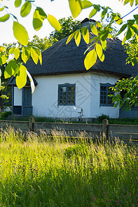 位于绿树和灌木林荫下的真实的乌克兰国家小屋图片