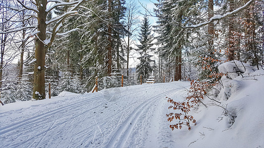 Jakuszyce的跨国家滑雪图片