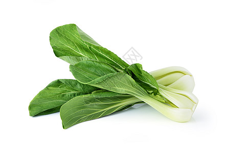 Bokchoy中国卷心菜在白色上被孤立饮食芸苔植物烹饪农场营养搅拌食物叶子蔬菜图片