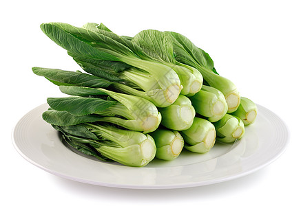 白盘上的Bok choy(中国卷心菜)图片