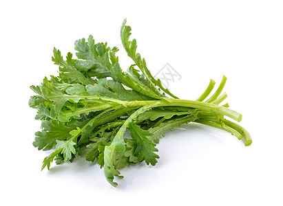 加兰菊花 孤立在白色背景的白底烹饪雏菊食物草本植物绿色叶子蔬菜花环图片