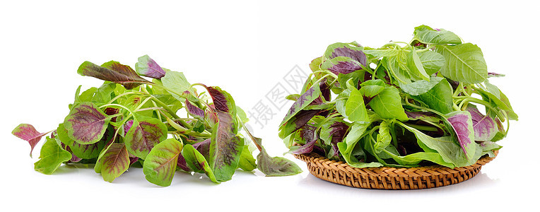 白色背景的篮子菠菜营养绿色美食蔬菜沙拉饮食树叶食物叶子植物图片