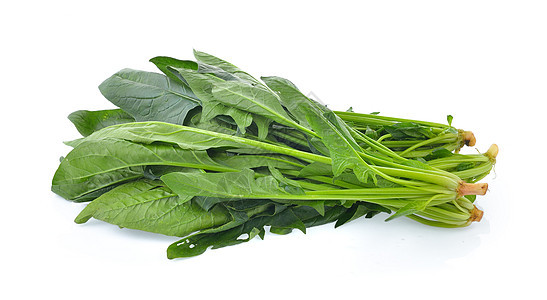 在白色背景上孤立的菠菜叶植物营养绿色树叶饮食蔬菜沙拉美食叶子食物图片