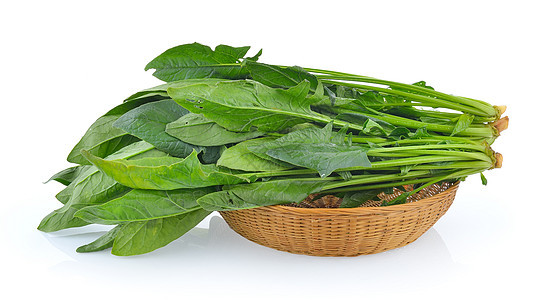 孤立在白色背景上的篮子菠菜叶营养饮食食物沙拉蔬菜树叶植物美食叶子绿色图片
