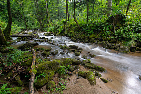 山区河流  流经斯洛文尼亚茂密的绿色森林的溪流远足小路峡谷白水环境踪迹绿色植物山沟石头急流图片