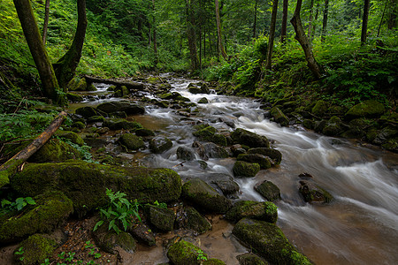 山区河流  流经斯洛文尼亚茂密的绿色森林的溪流踪迹小路远足旅行环境瀑布山沟急流旅游树干图片