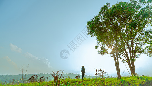 戴着帽子和背包的年轻女游客站在山上 绿草如茵 在阳光明媚的日子里与大树相伴 日落时分有蓝天和积云 单身女性独自旅行的概念图片