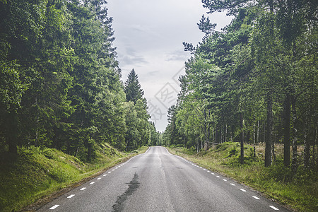 森林中的平面道路旅行运动运输沥青森林农村路线赛道场景蓝色图片